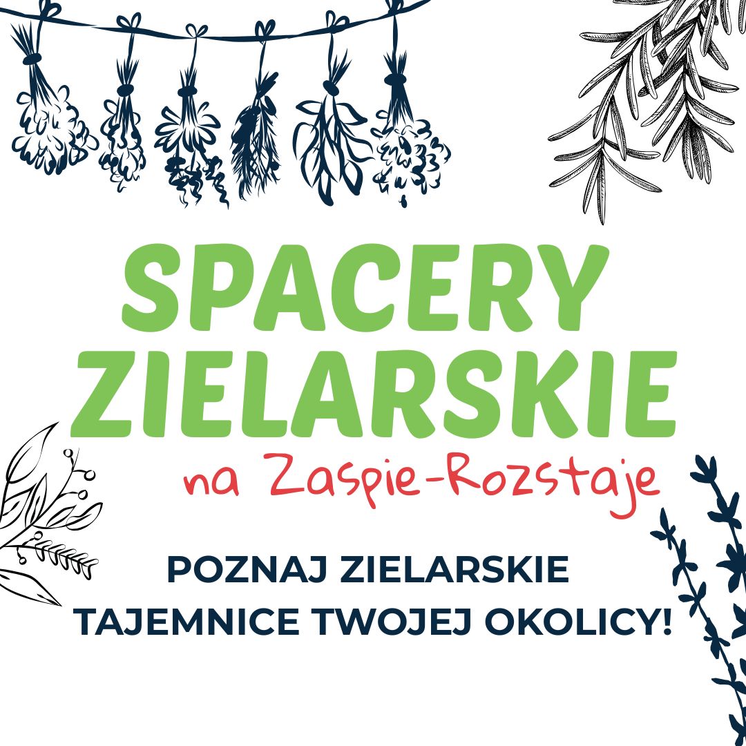 Poznaj zielarskie tajemnice Twojej okolicy! Spacery zielarskie na Zaspie-Rozstaje