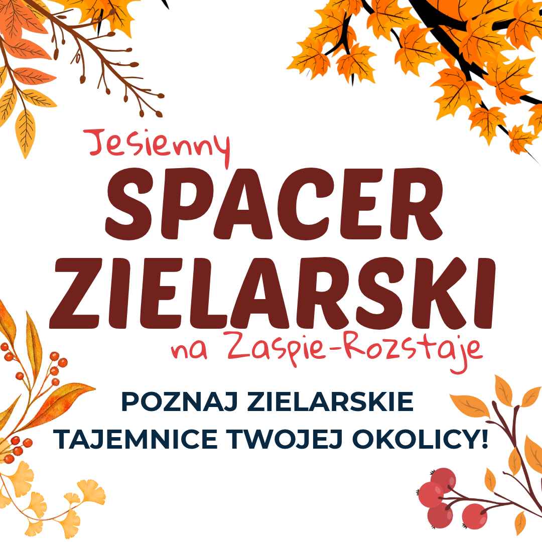 Jesienny spacer zielarski